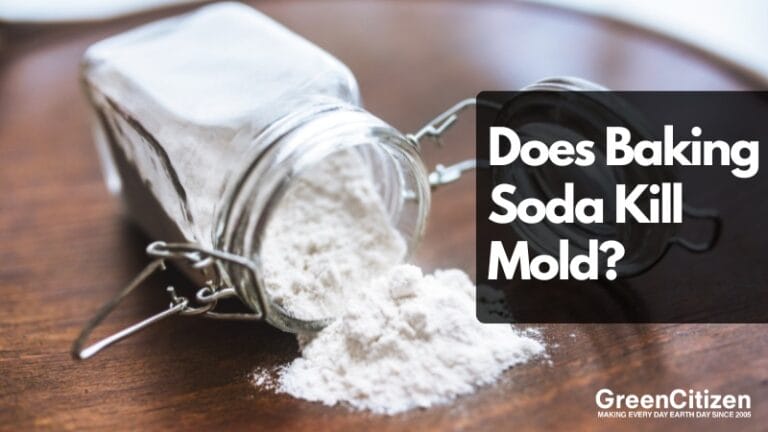 Does Baking Soda Kill Mold