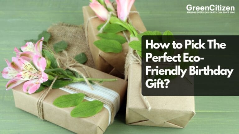 Eco-Friendly Birthday Gift