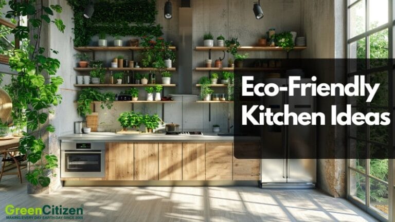 Eco-Friendly Kitchen Ideas