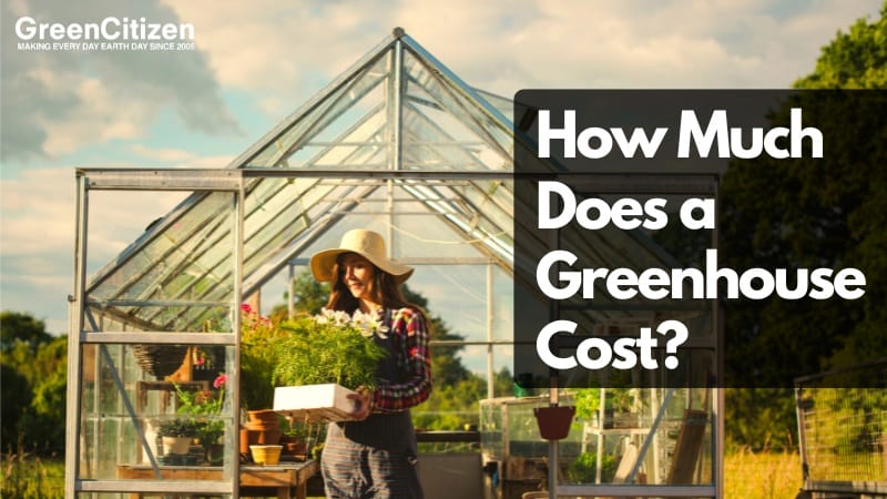 Greenhouse Cost