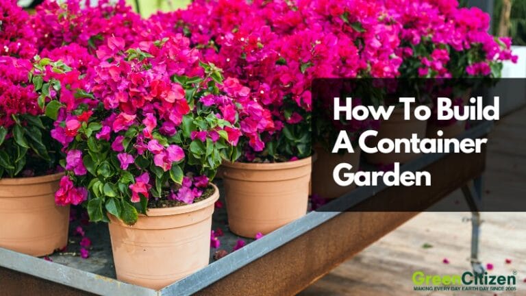 How To Build A Container Garden