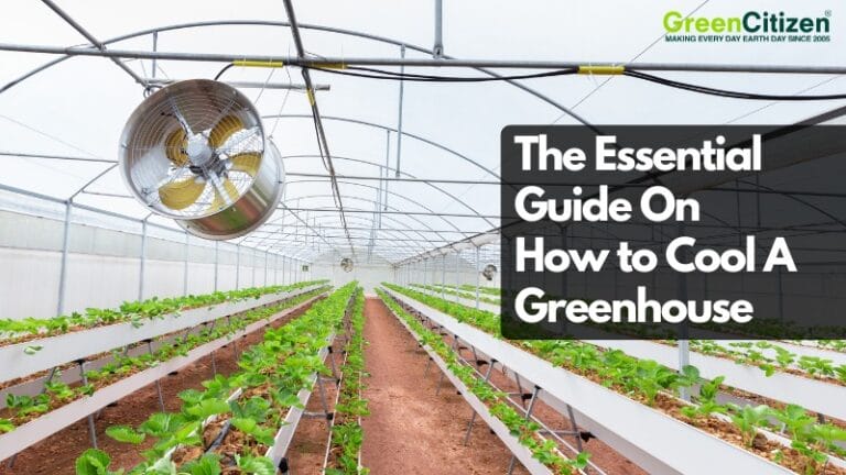 How to Cool A Greenhouse