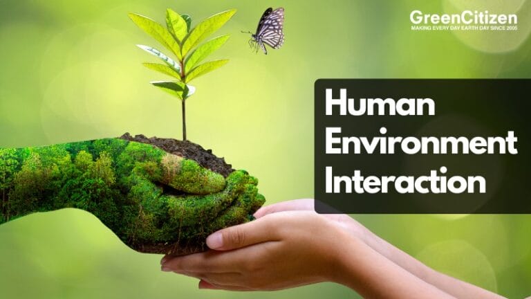 Human Environment Interaction
