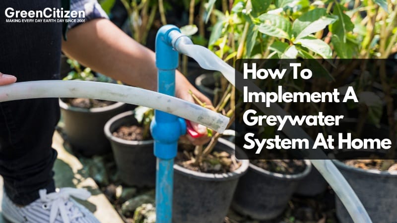 Implement A Greywater System At Home