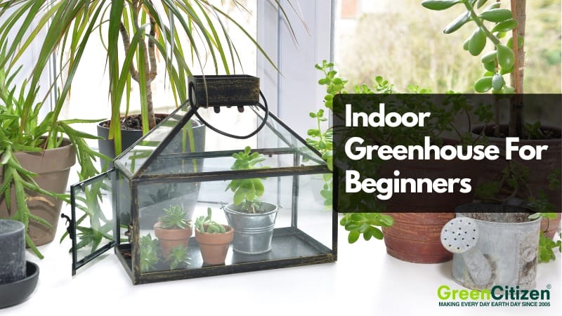 Indoor Greenhouse