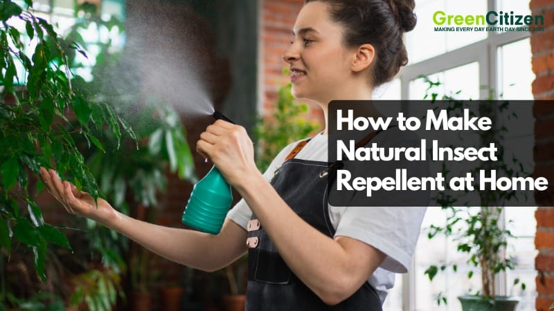 Insect Repellent