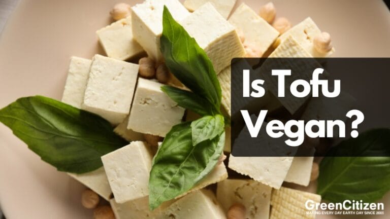 Is Tofu Vegan