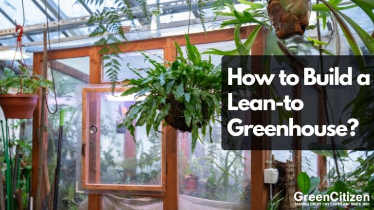 Lean-to Greenhouse