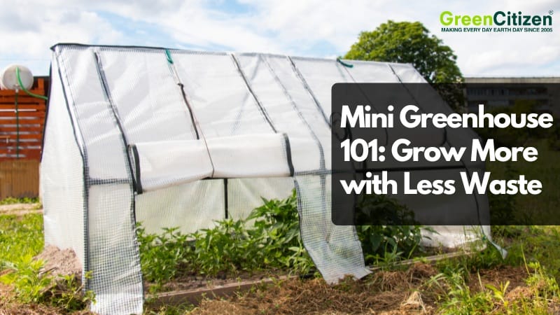 Mini Greenhouse 101