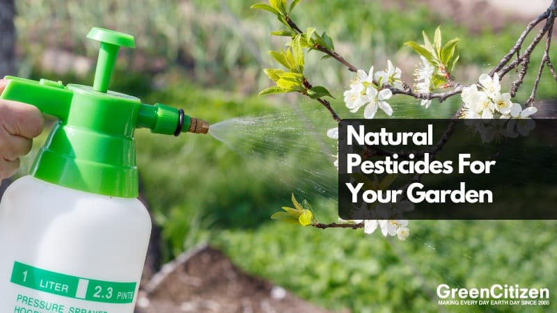 Natural Pesticides