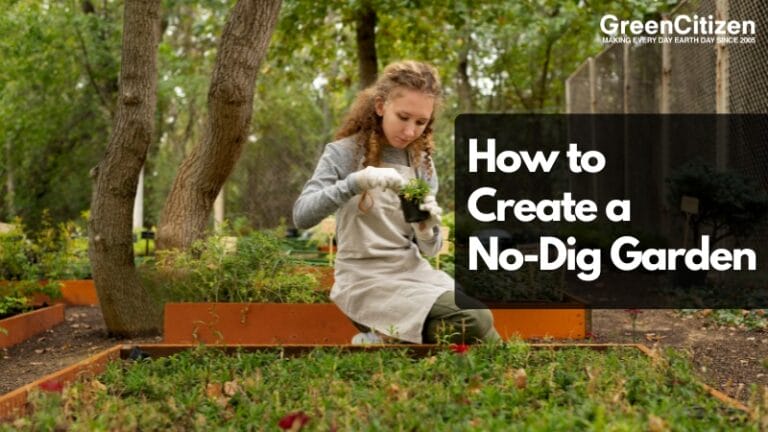 No-Dig Garden