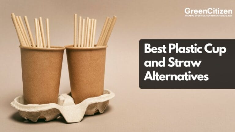 Plastic Cup and Straw Alternatives