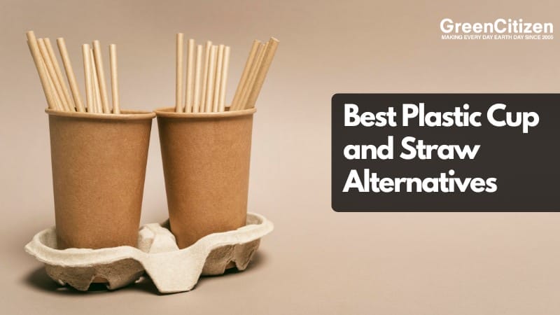 Plastic Cup and Straw Alternatives