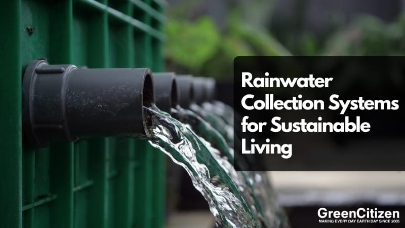 Rainwater Collection Systems for Sustainable Living - GreenCitizen