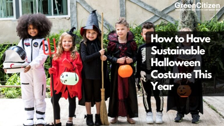 Sustainable Halloween Costume