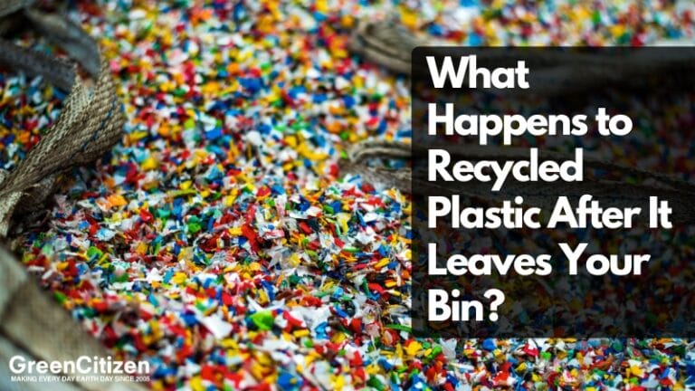 What Happens to Recycled Plastic