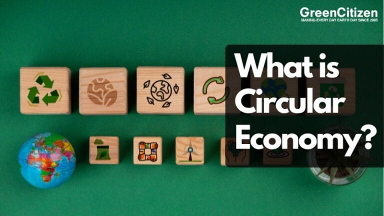 What is Circular Economy