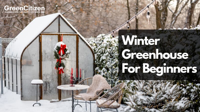 Winter Greenhouse