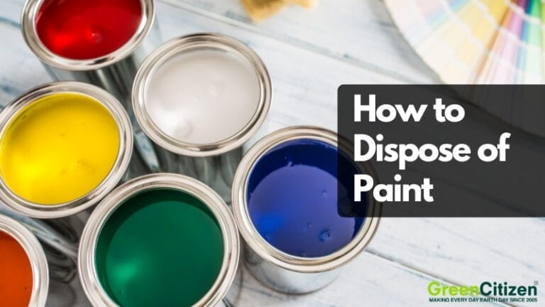 paint disposal