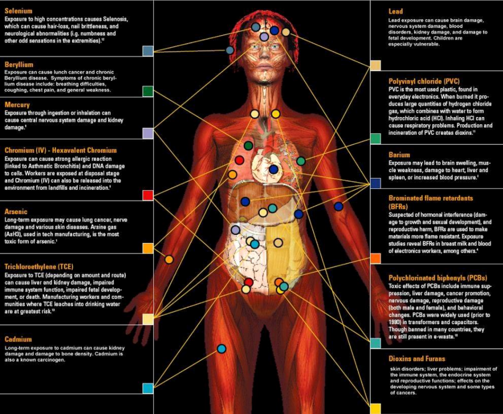 Harmful effects of e-waste in human body
